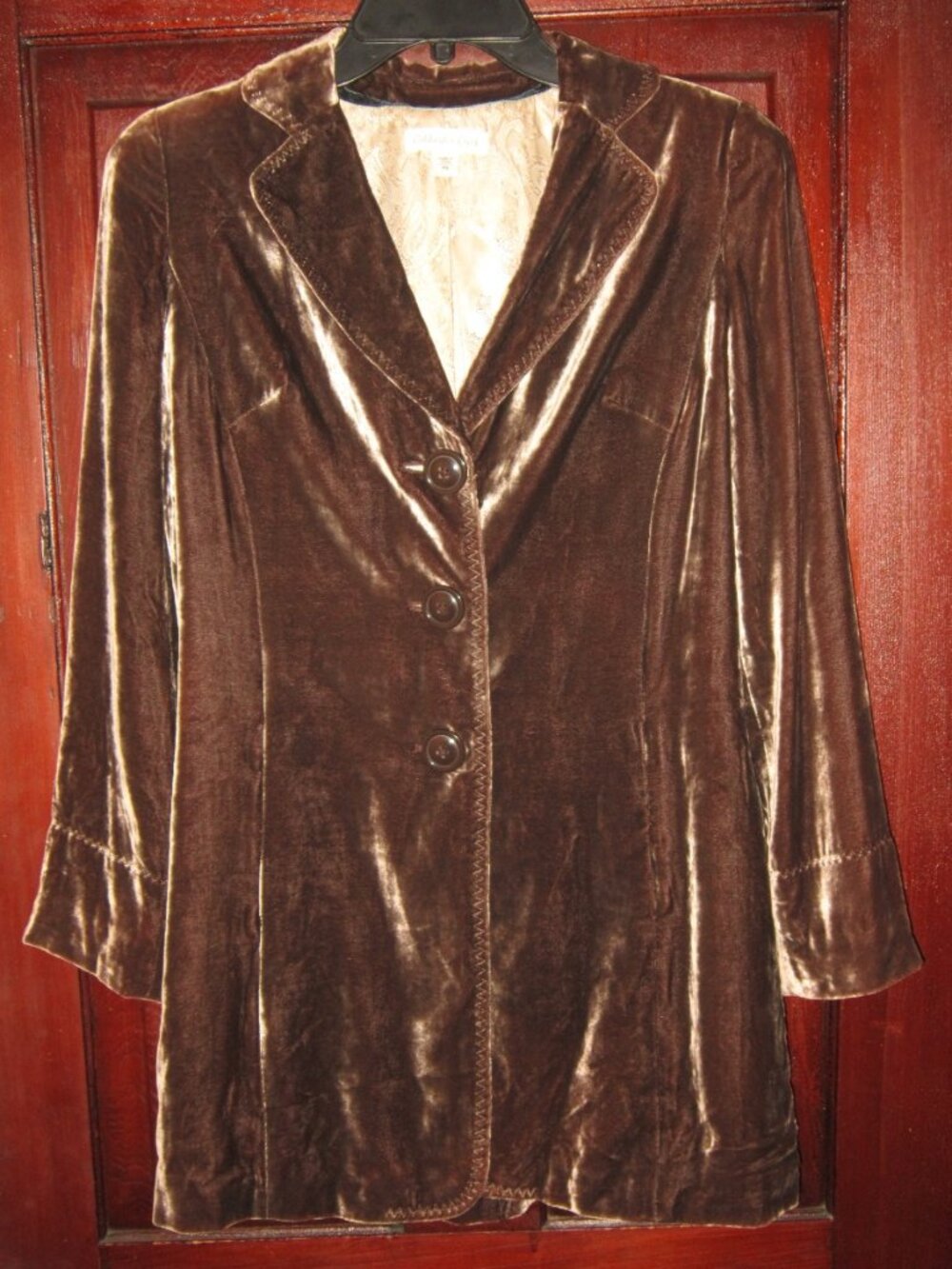 Coldwater Creek P6 S Velvet Jacket Coat Blazer Button Rayon Silk Whimsical Long